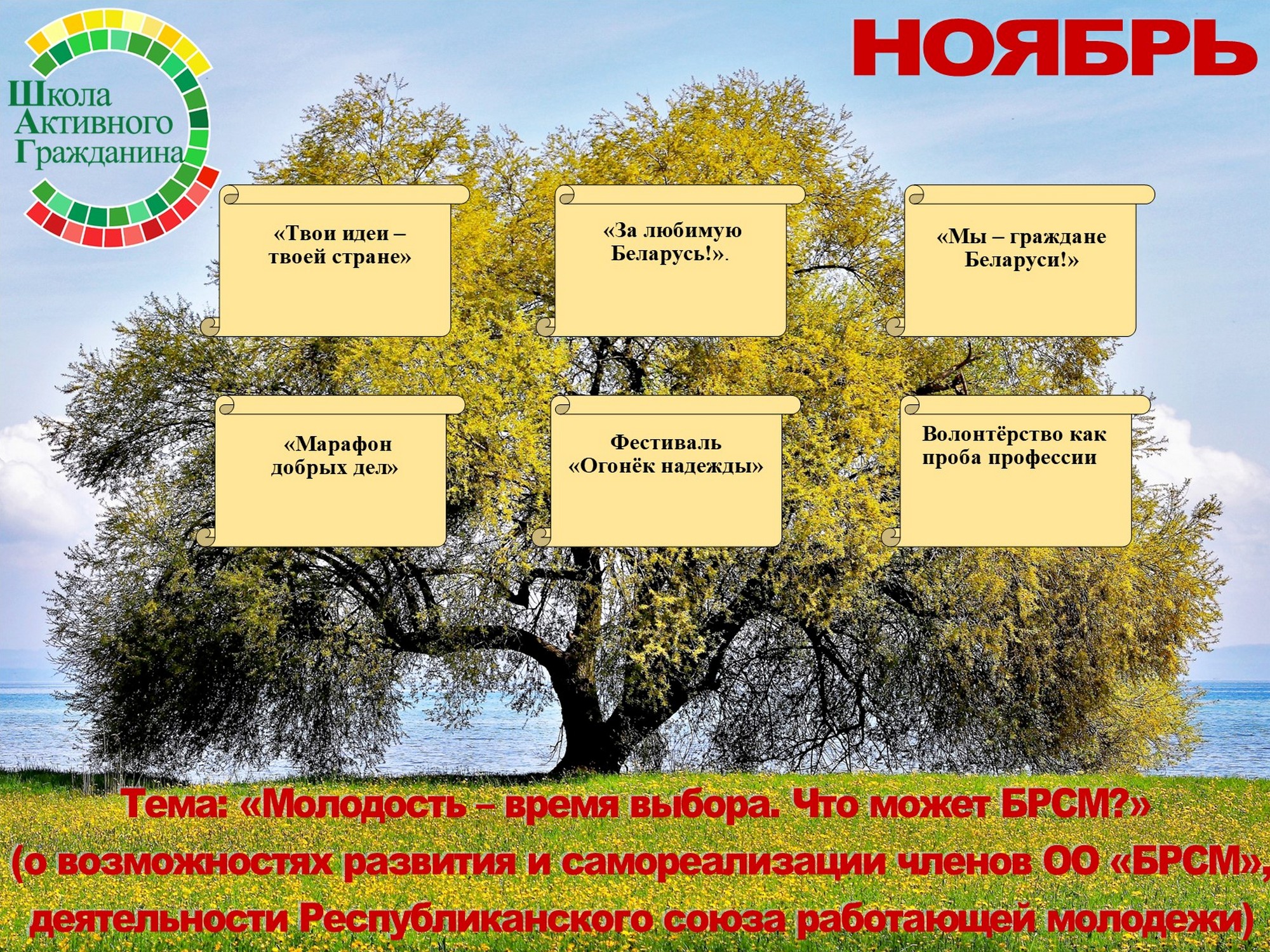 Ноябрь 2024/2025 учебного года