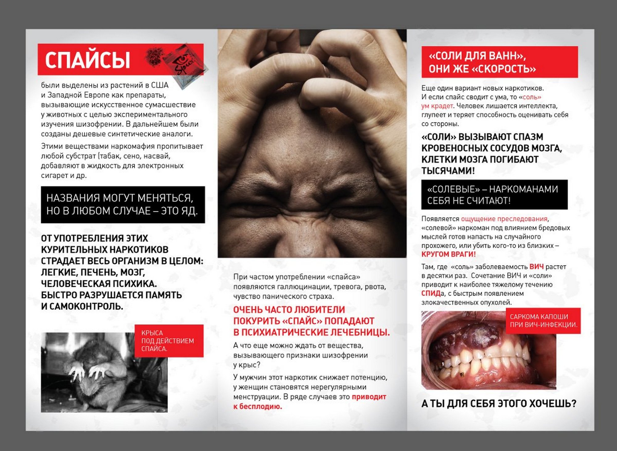 Листовка МВД Республики Беларусь