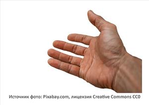 Источник фото: Pixabay.com