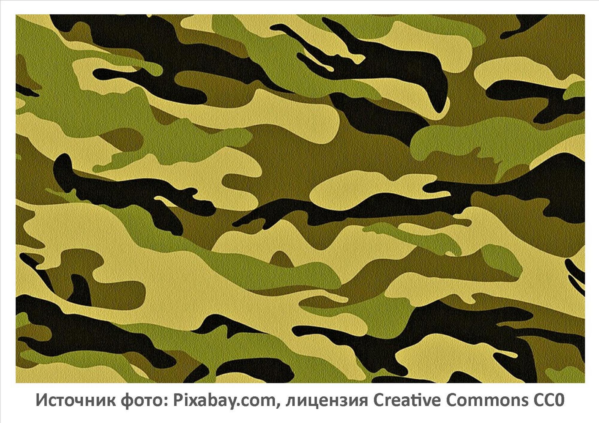 Источник фото: Pixabay.com
