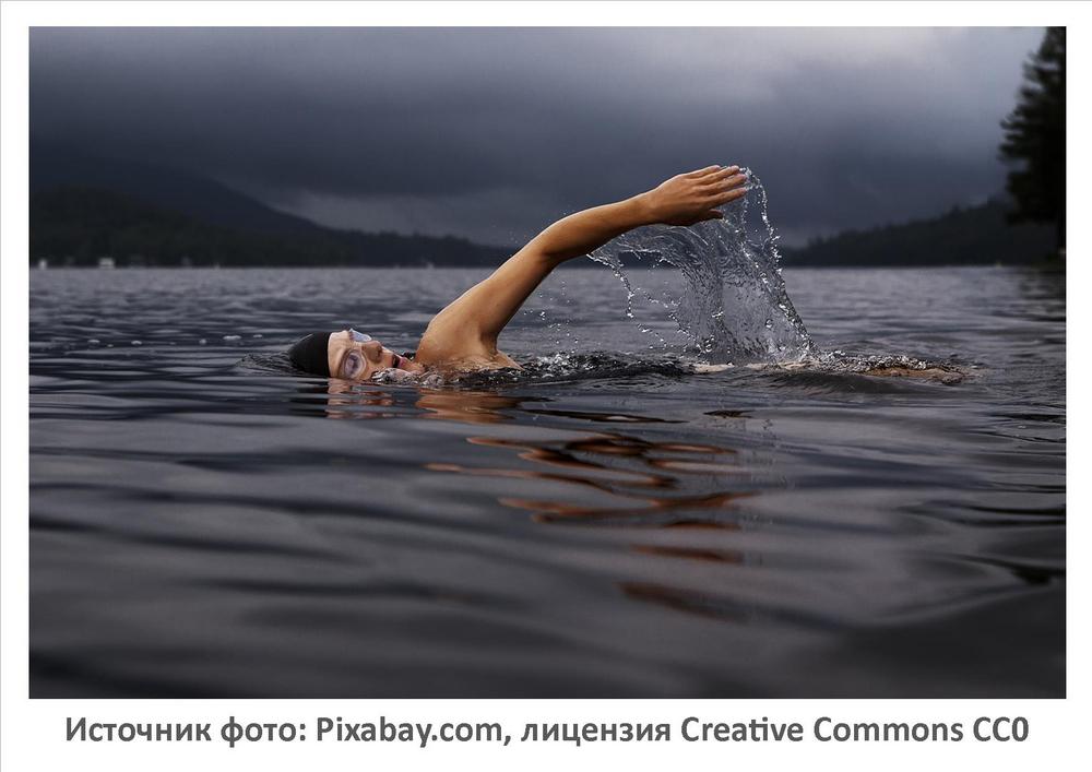 Источник фото: Pixabay.com