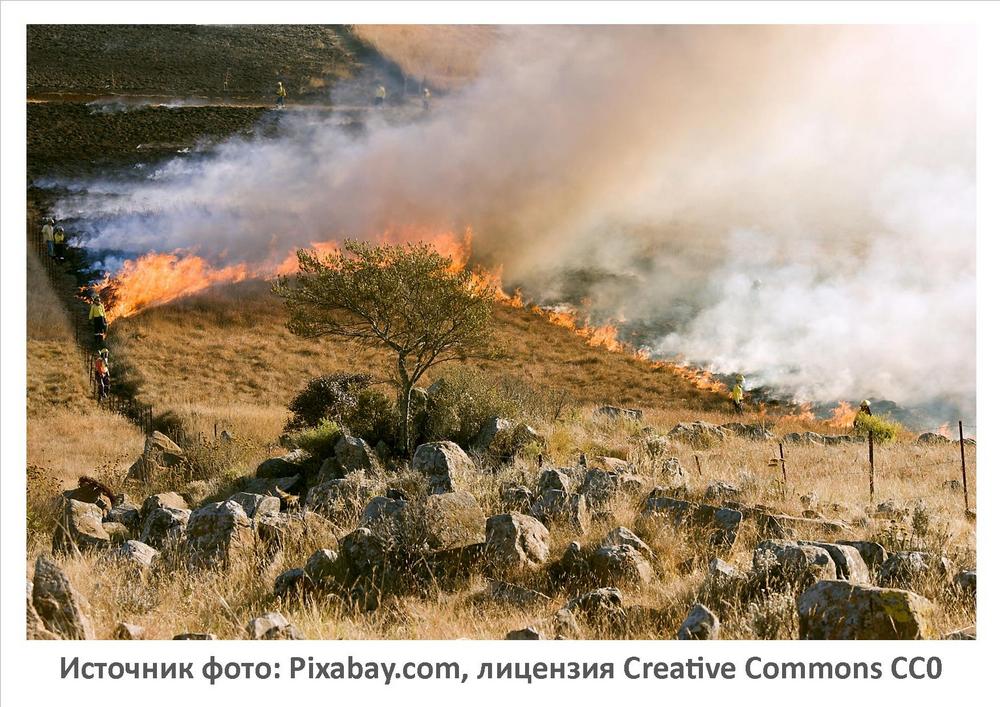 Источник фото: Pixabay.com