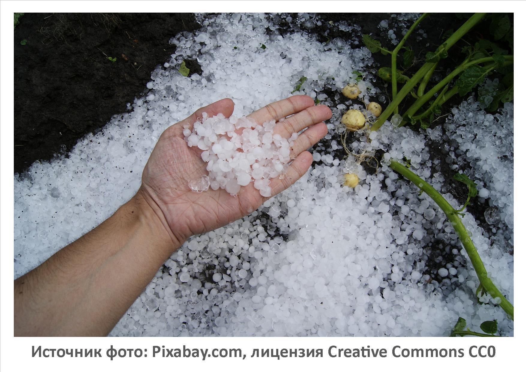 Источник фото: Pixabay.com