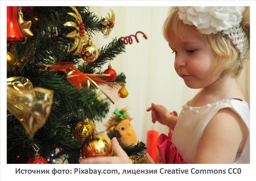 Источник фото: Pixabay.com