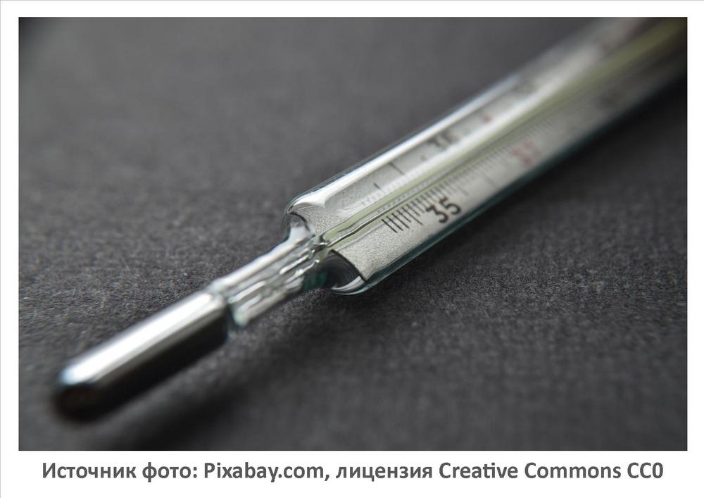 Источник фото: Pixabay.com