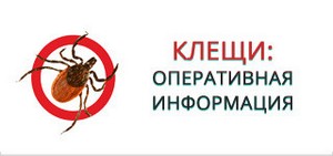 Источник фото: Лидский райЦГЭ