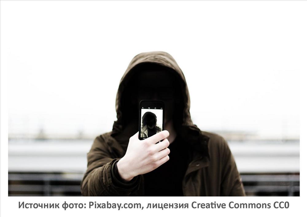 Источник фото: Pixabay.com
