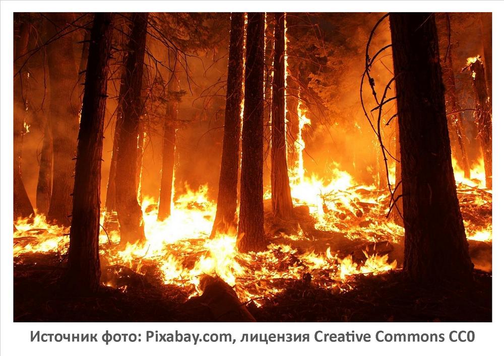 Источник фото: Pixabay.com