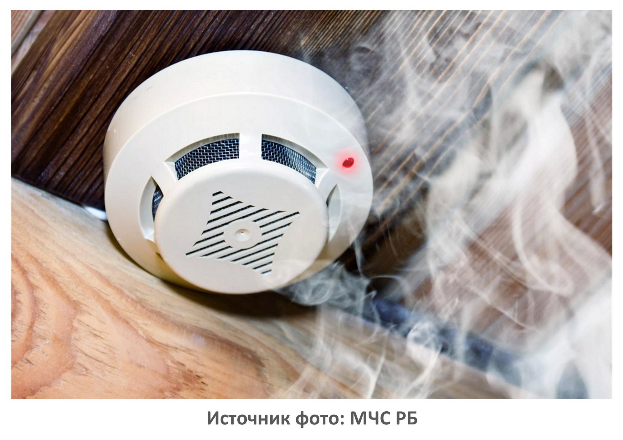 Источник фото: Pixabay.com