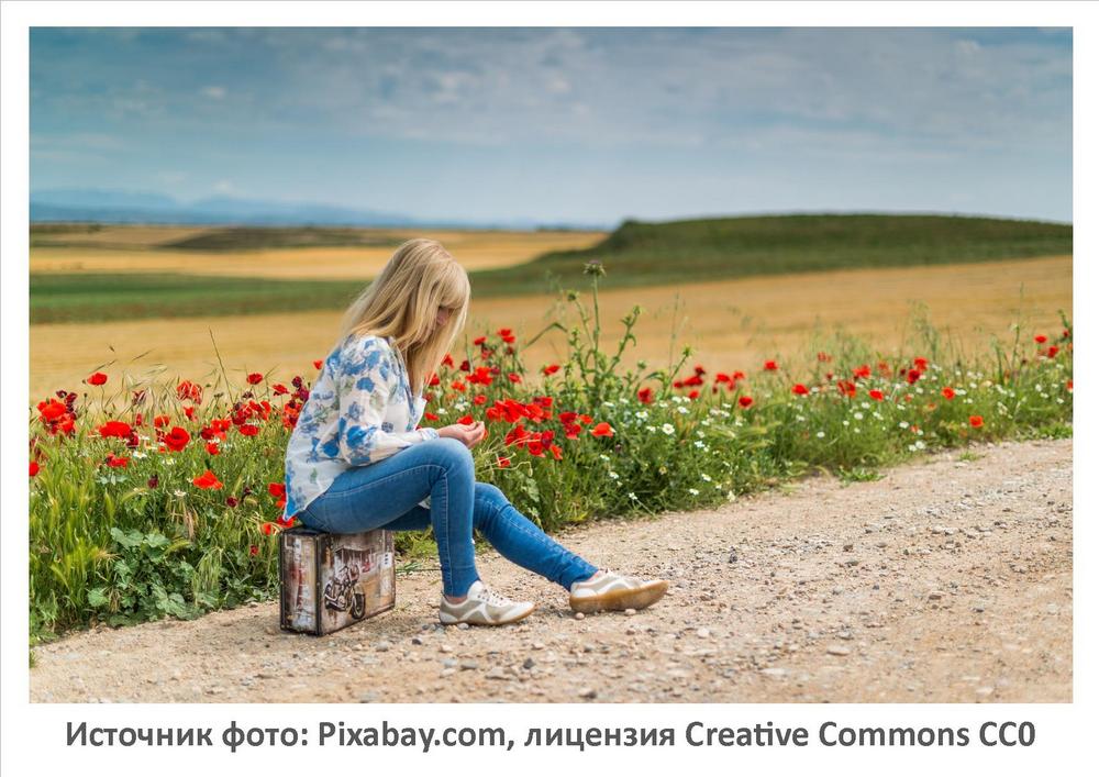 Источник фото: Pixabay.com