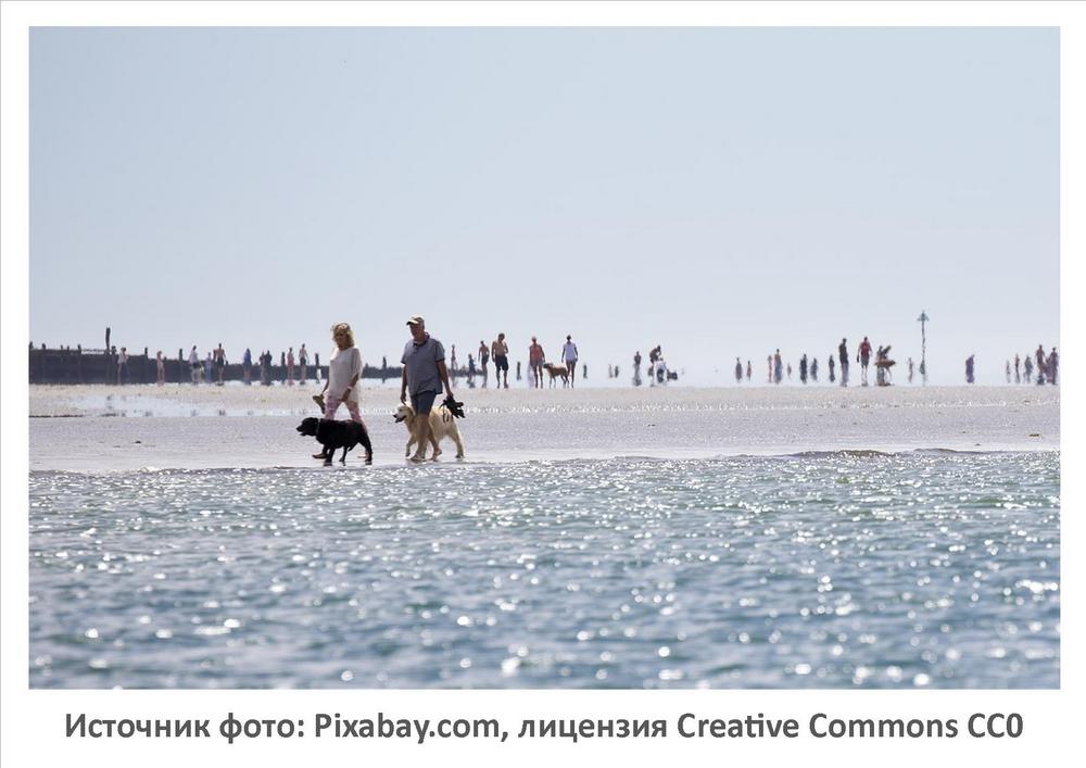 Источник фото: Pixabay.com