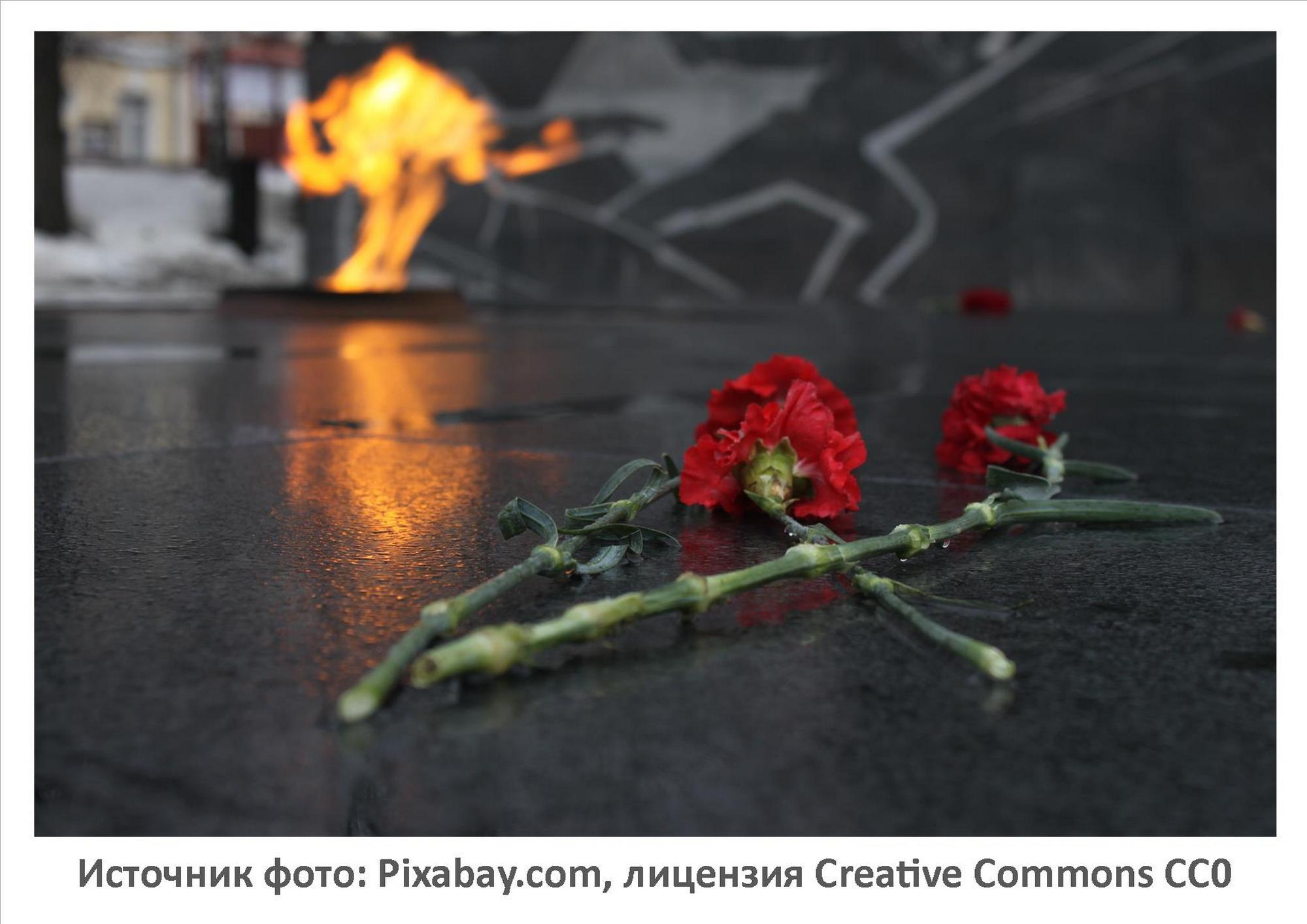 Источник фото: Pixabay.com