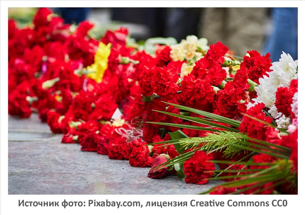 Источник фото: Pixabay.com