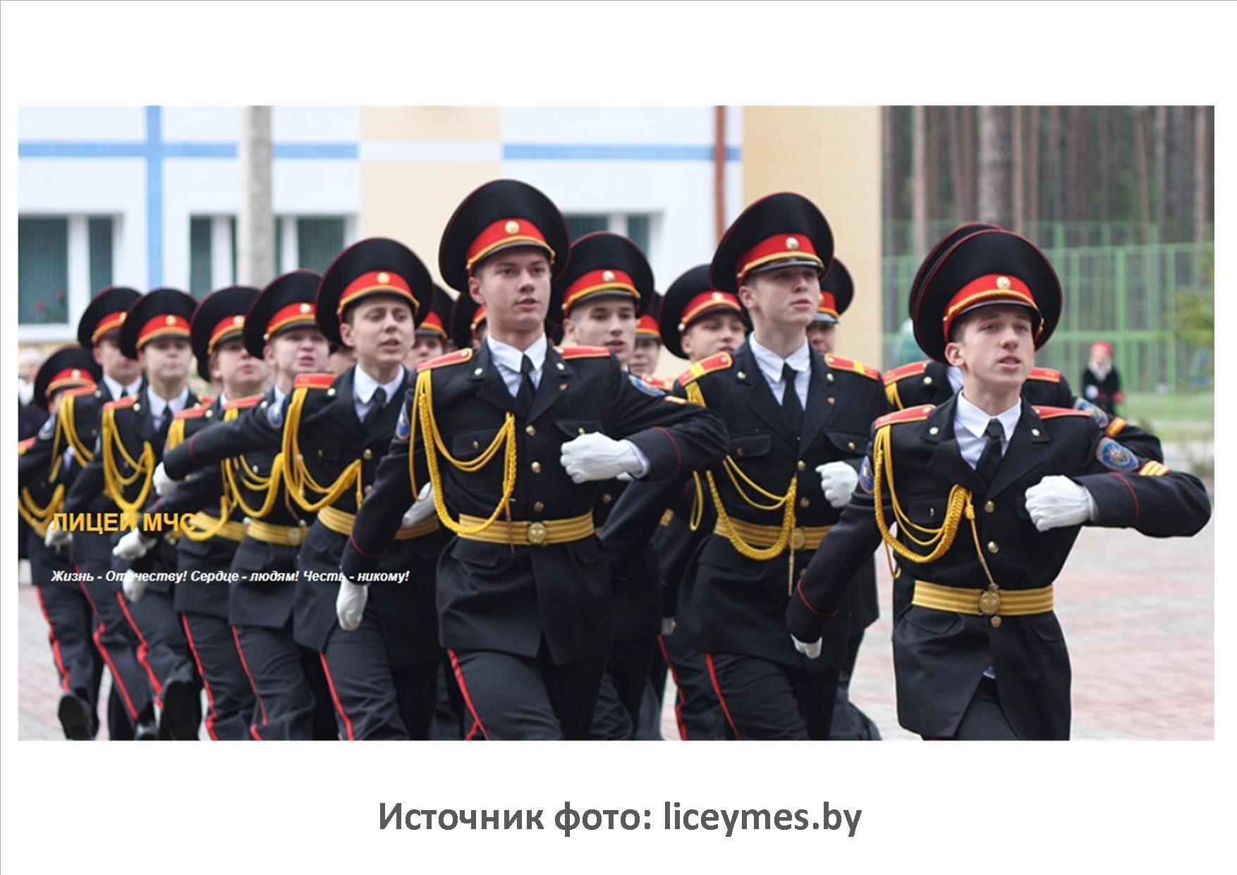 Источник фото: liceymes.by