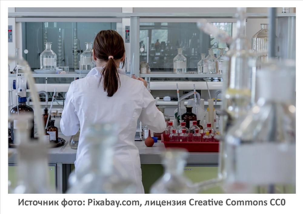 Источник фото: Pixabay.com