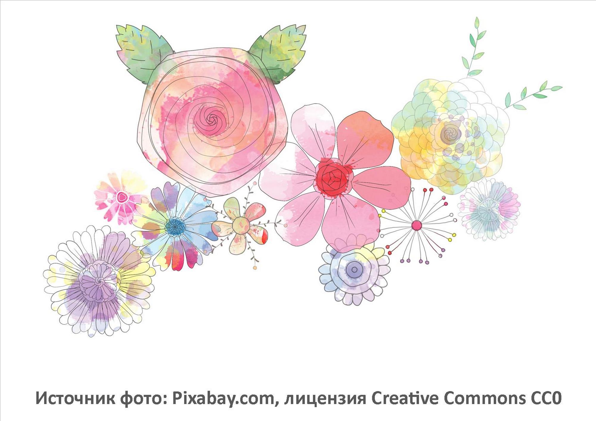 Источник фото: Pixabay.com