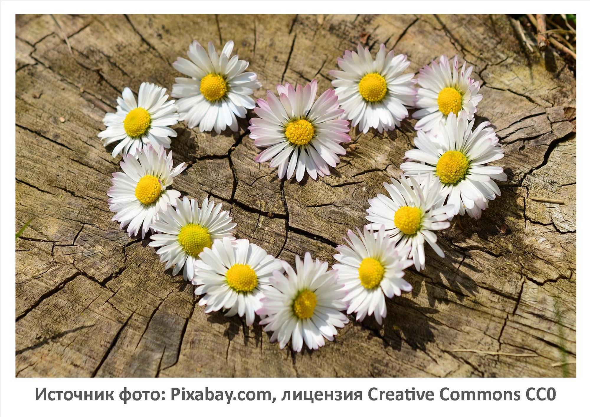 Источник фото: Pixabay.com