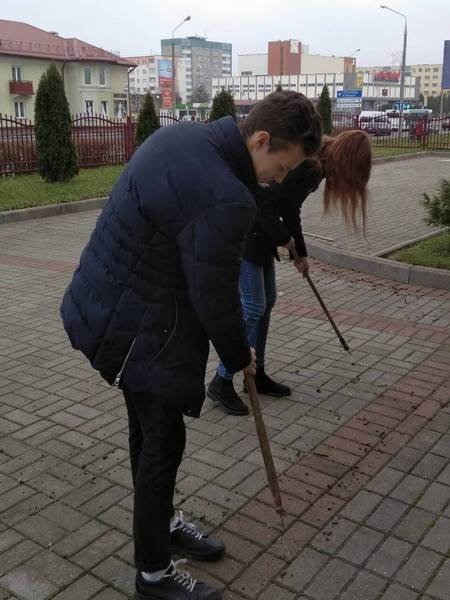 Трудовая акция 10.11.2018