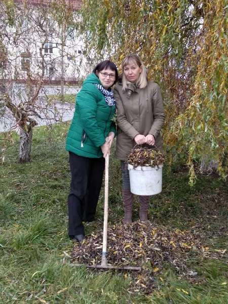 Трудовая акция 10.11.2018
