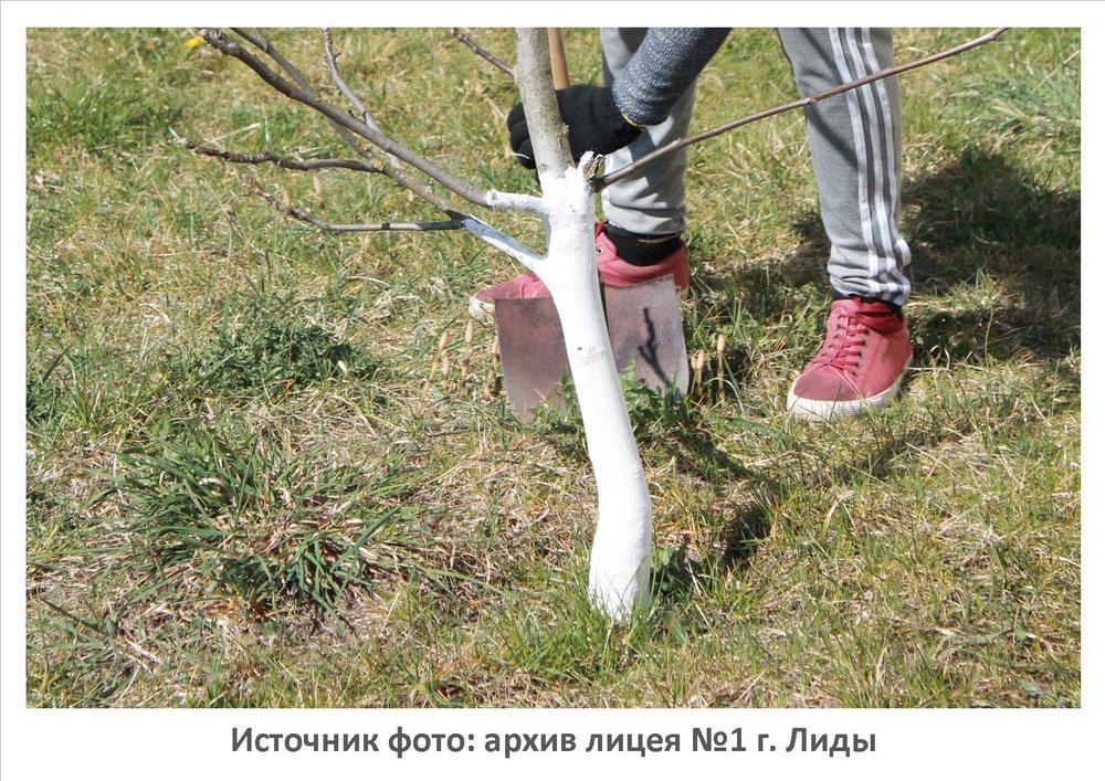 Источник фото: архив лицея №1 г. Лиды