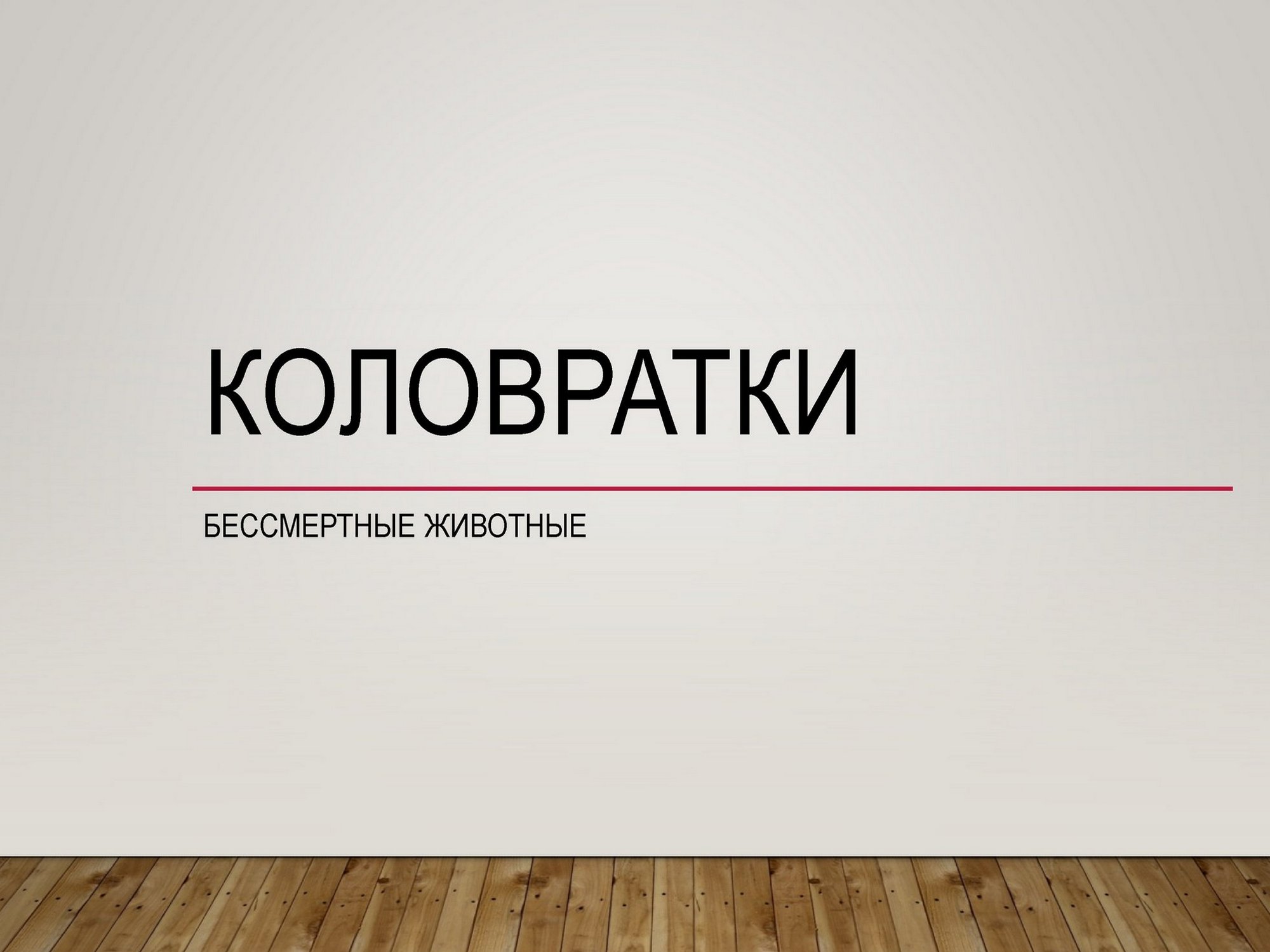Источник фото: архив лицея №1 г. Лиды