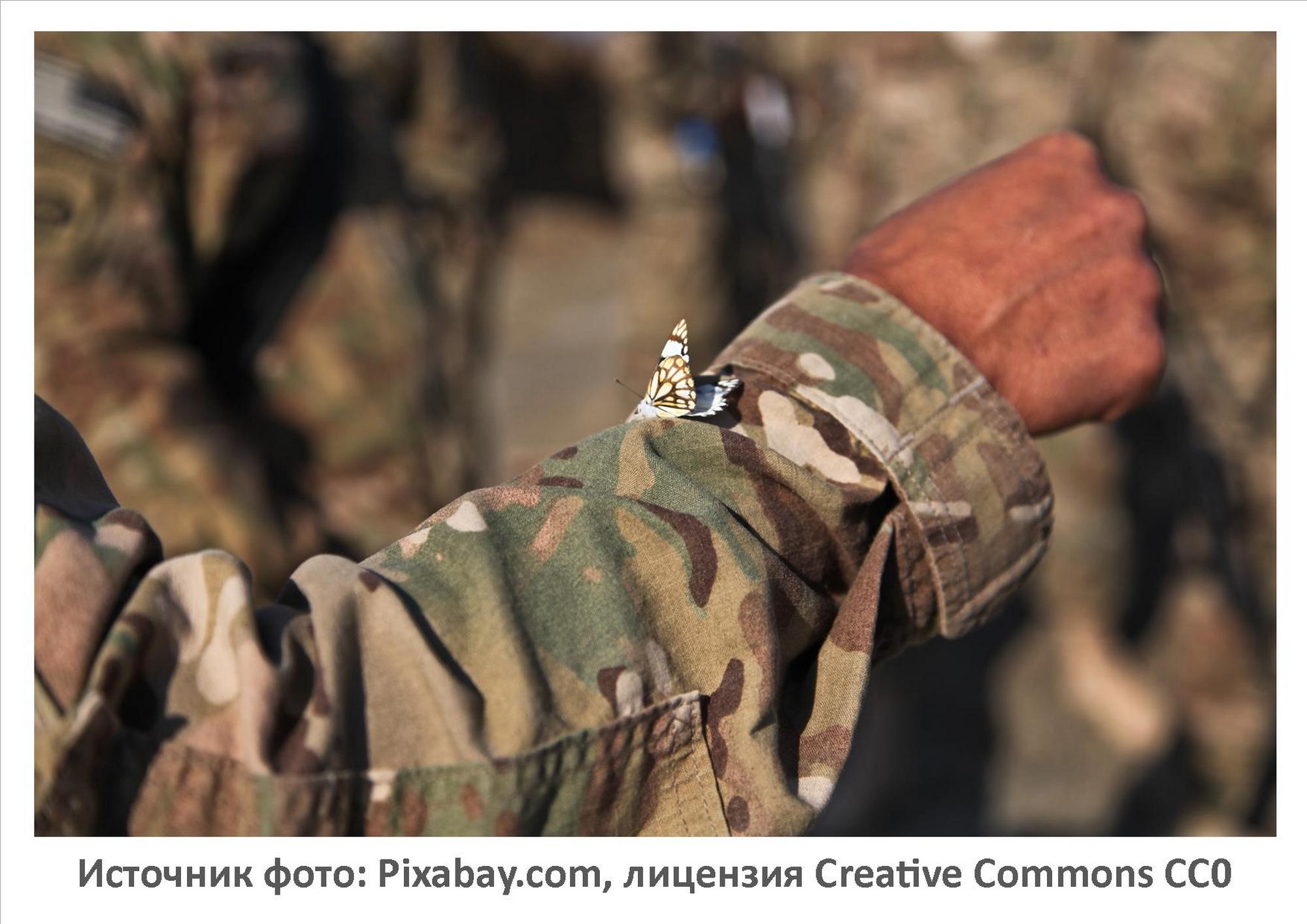 Источник фото: Pixabay.com