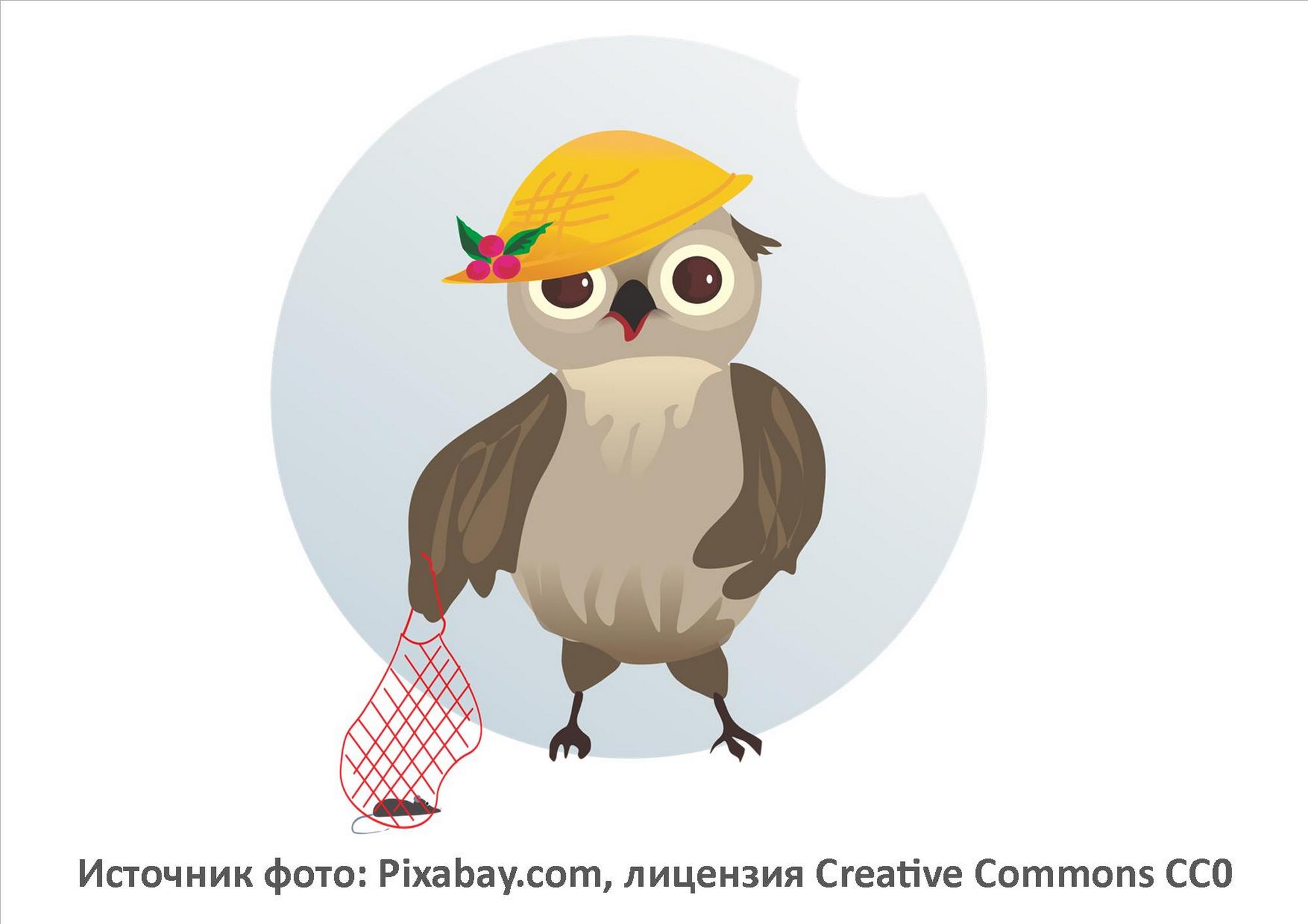 Источник фото: Pixabay.com