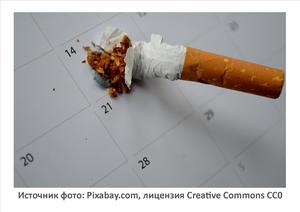 Источник фото: Pixabay.com
