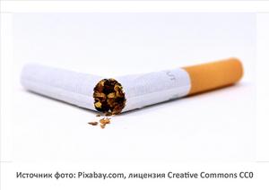 Источник фото: Pixabay.com