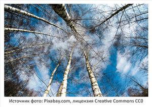 Источник фото: Pixabay.com