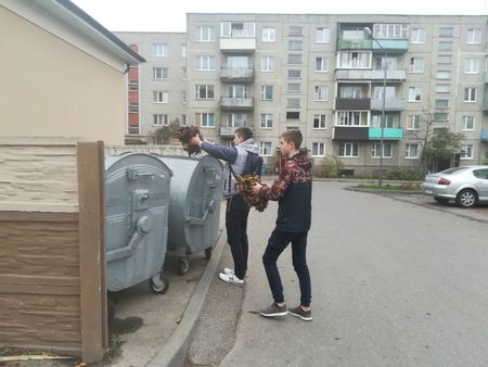 Областная волонтерская акция "Уютный двор - теплый дом"