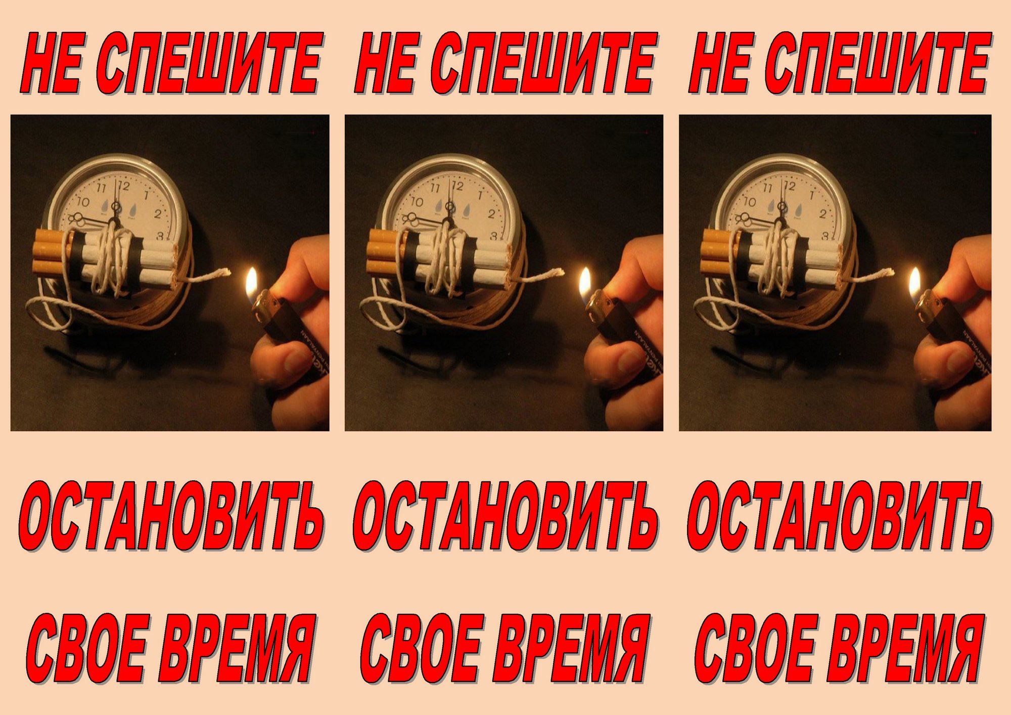 Источник фото: ГУ "Лидский зональный центр гигиены и эпидемиологии"