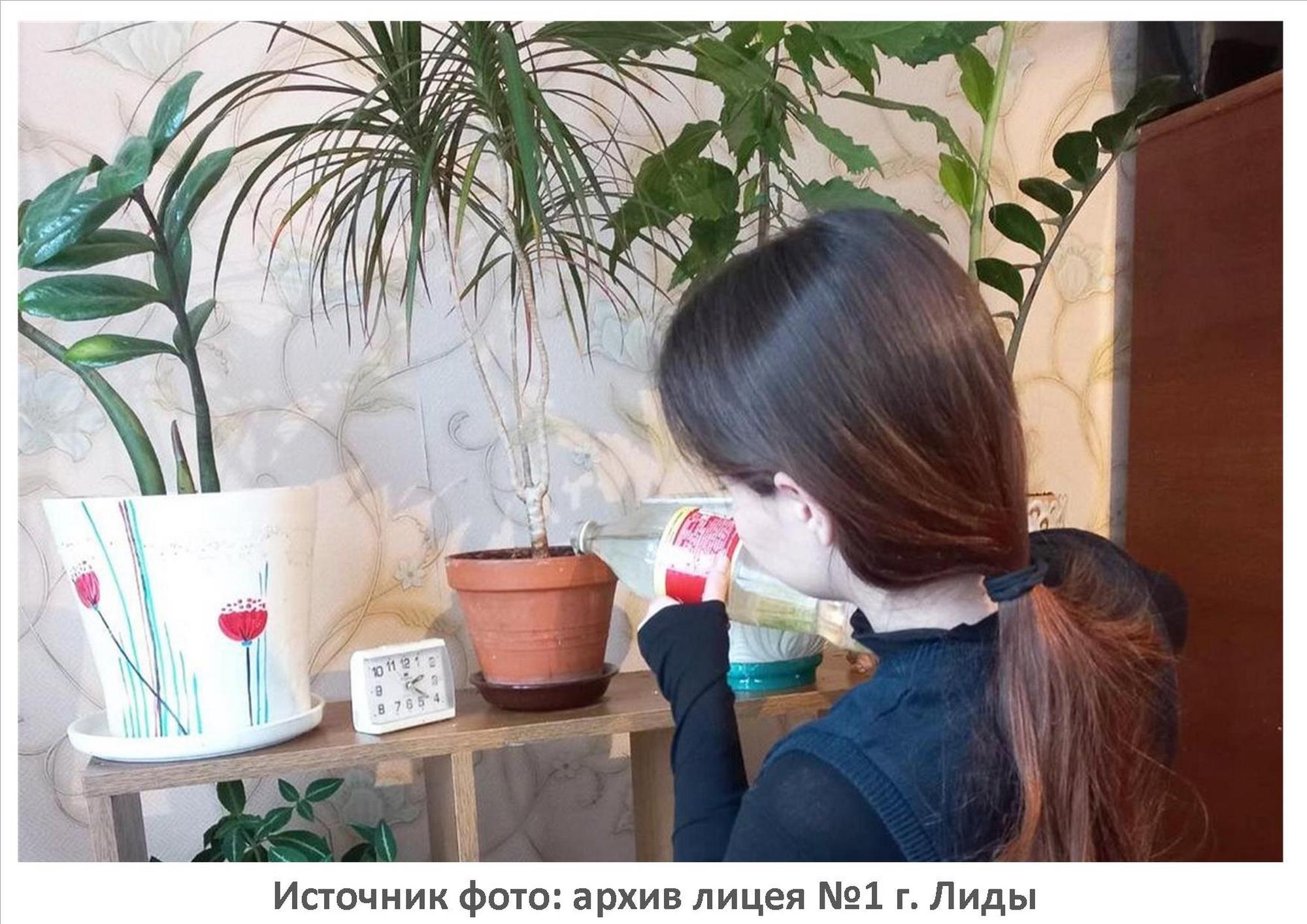 Источник фото: архив лицея №1 г. Лиды
