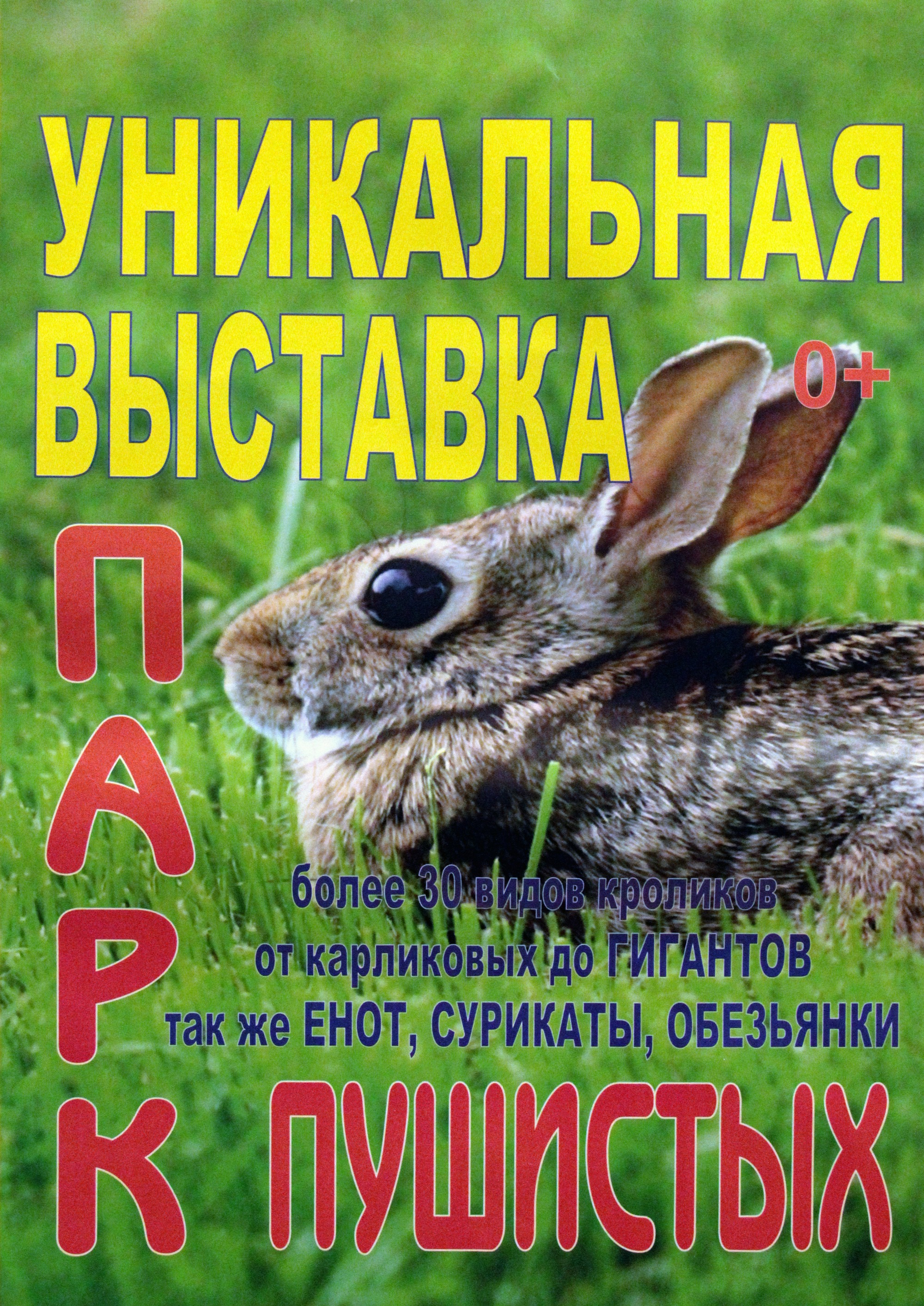 Лидский историко-художественный музей приглашает!