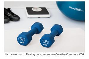 Источник фото: Pixabay.com