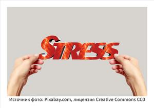 Источник фото: Pixabay.com