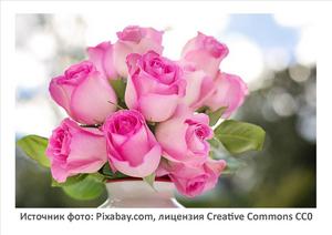 Источник фото: Pixabay.com
