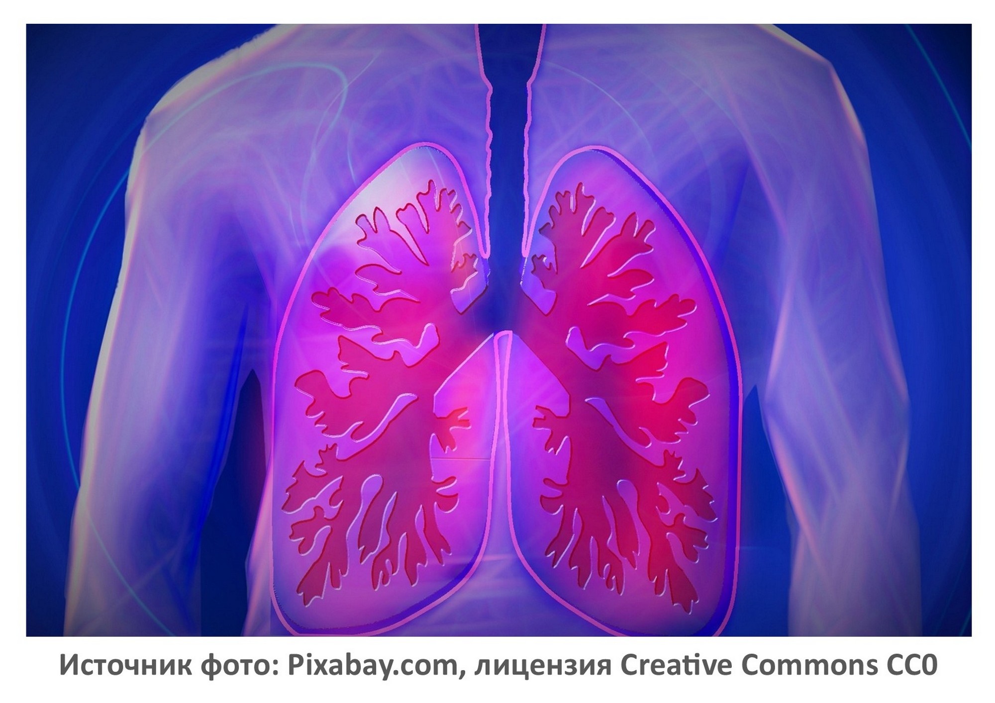 Источник фото: Pixabay.com
