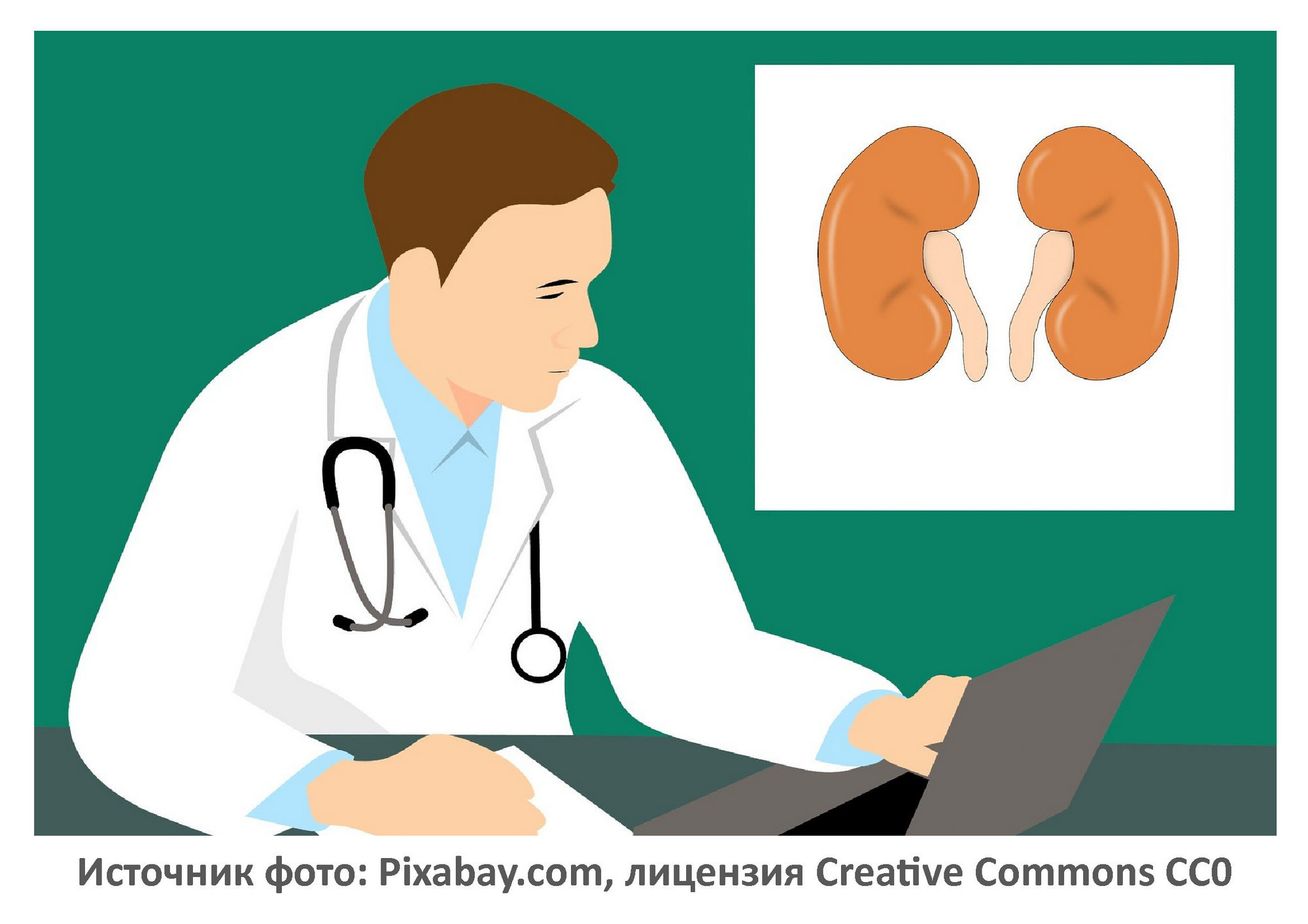 Источник фото: Pixabay.com