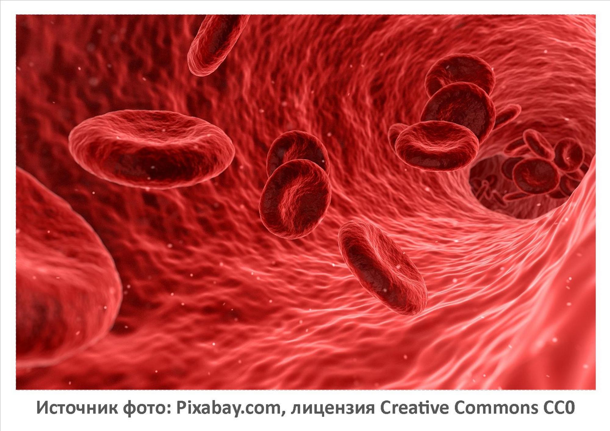 Источник фото: Pixabay.com