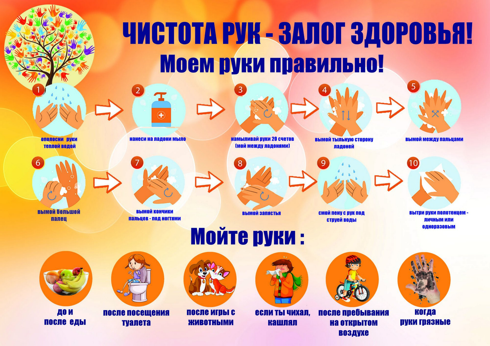 источник фото: УО ЛРИК