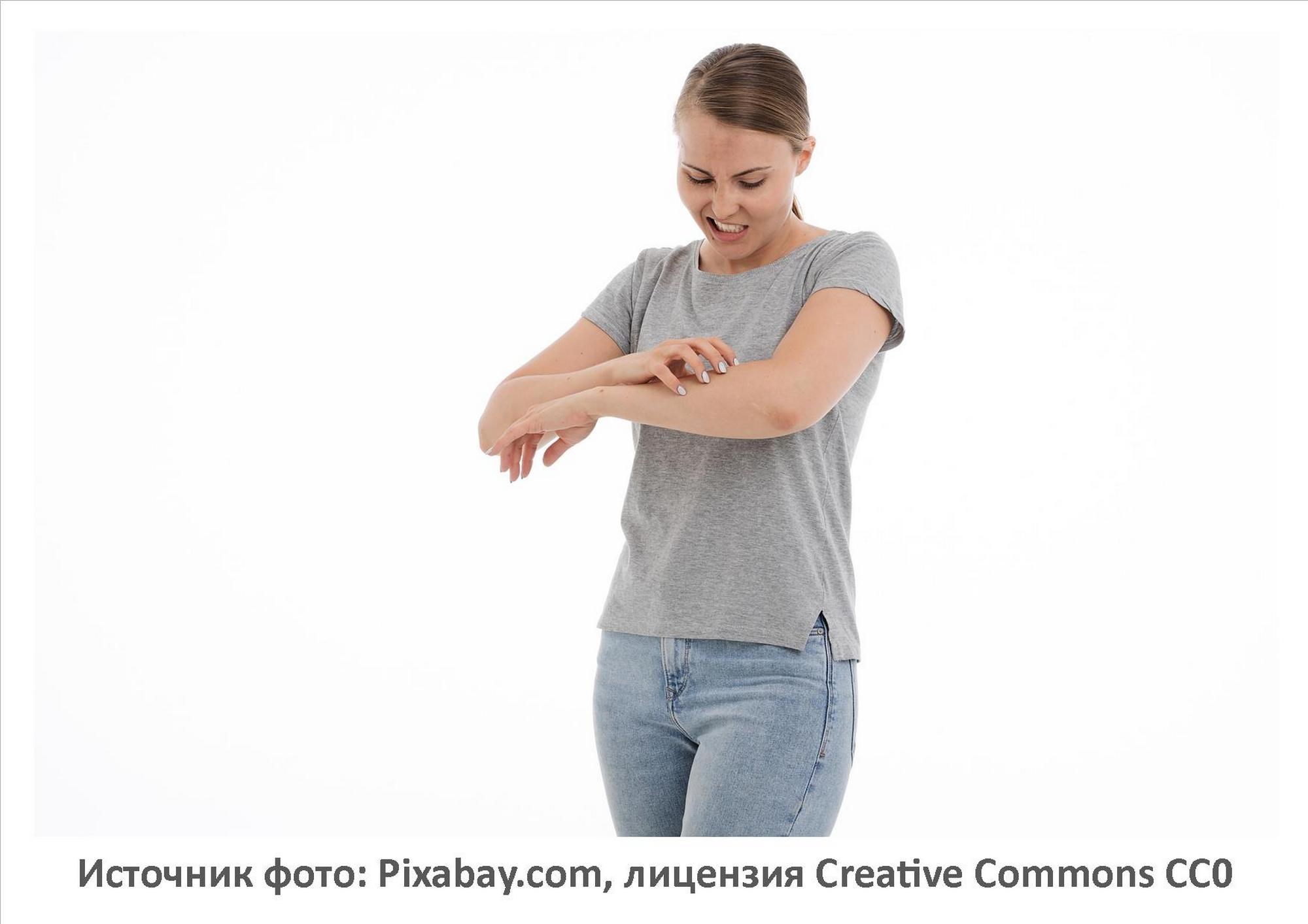 Источник фото: Pixabay.com