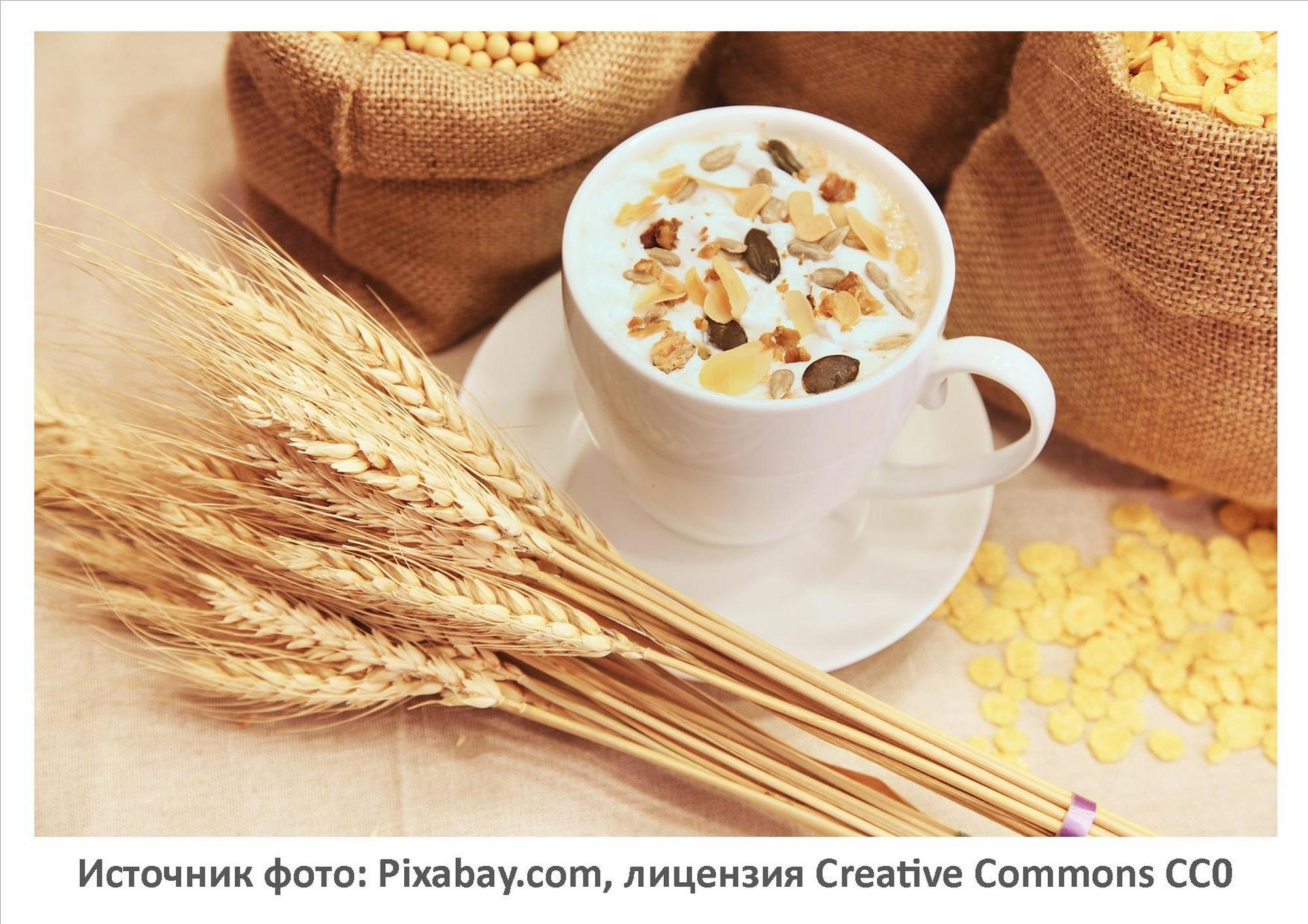 Источник фото: Pixabay.com