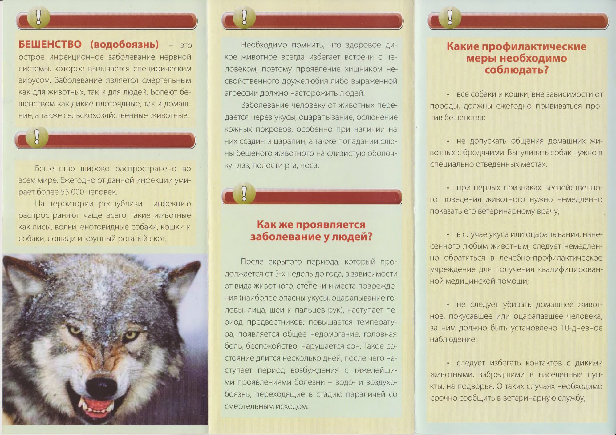 Бюллетень РайЦГЭ Бюллетень РайЦГЭ "Бешенство"