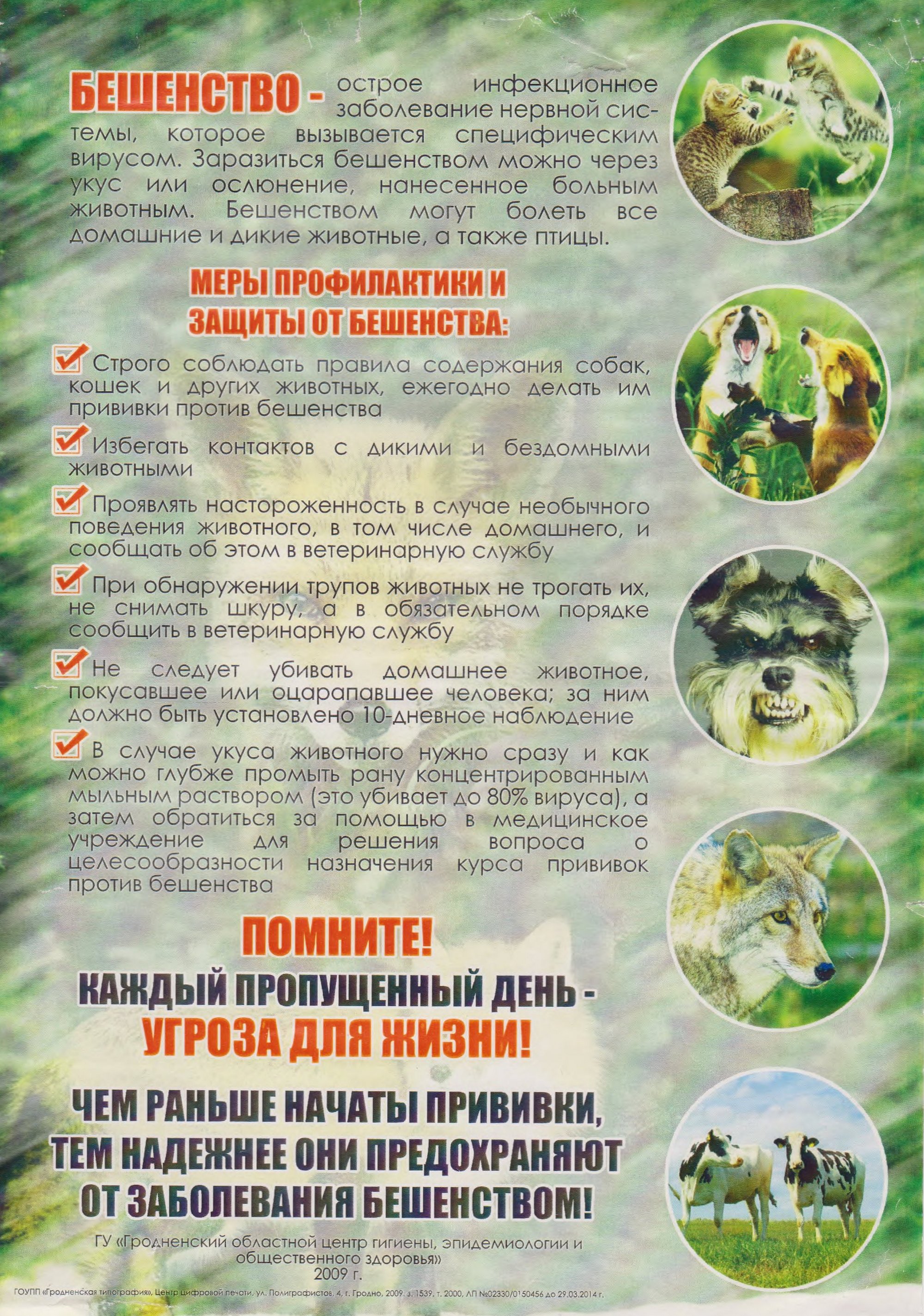 Бюллетень РайЦГЭ Бюллетень РайЦГЭ "Бешенство"