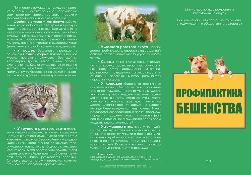 Бюллетень РайЦГЭ Бюллетень РайЦГЭ "Бешенство"