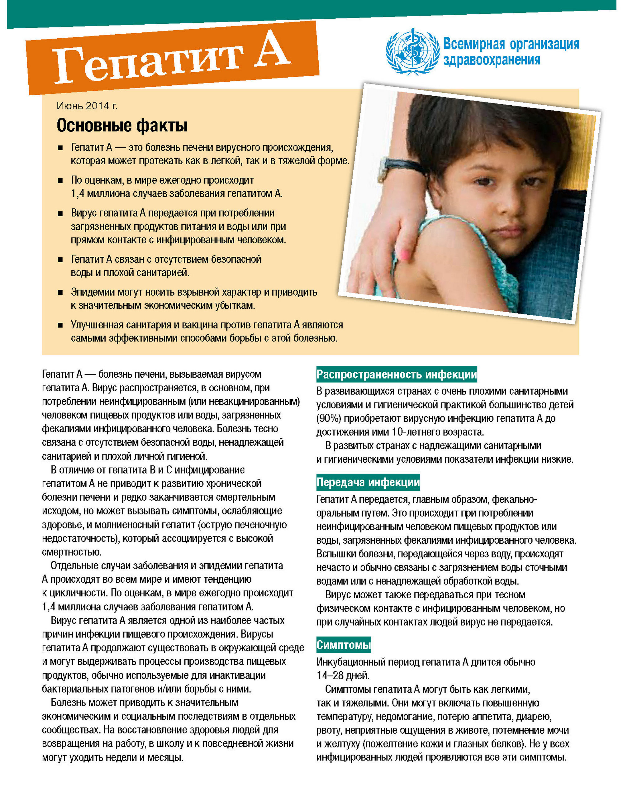 Профилактика вирусного гепатита А