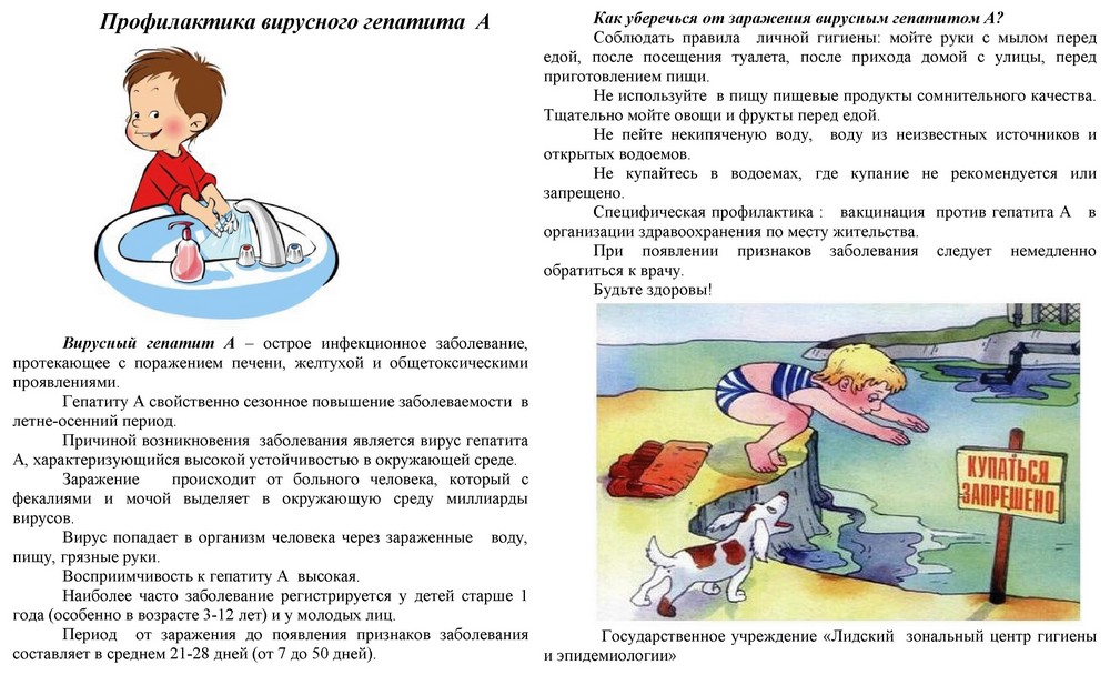 Профилактика вирусного гепатита А